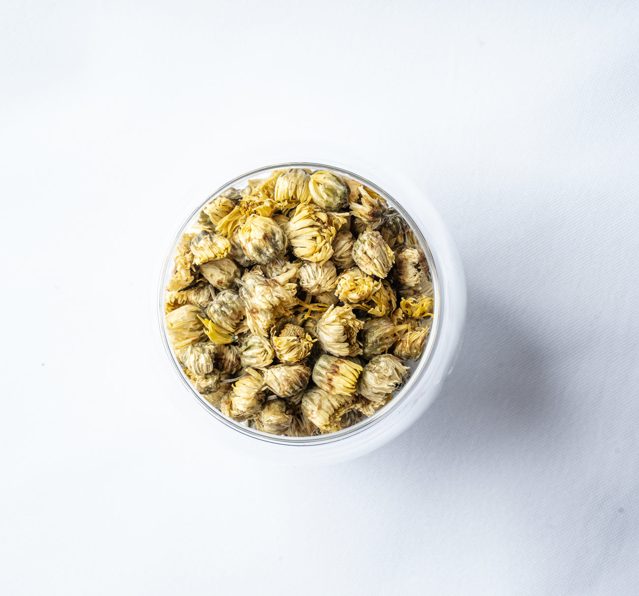 Chrysanthemum Tai Ju