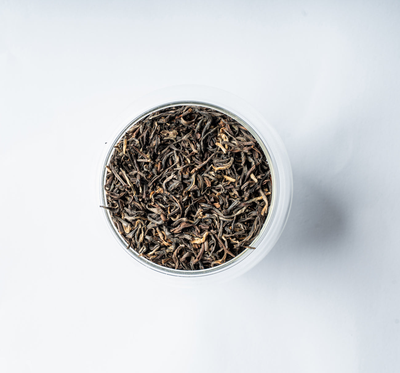 Darjeeling Summer