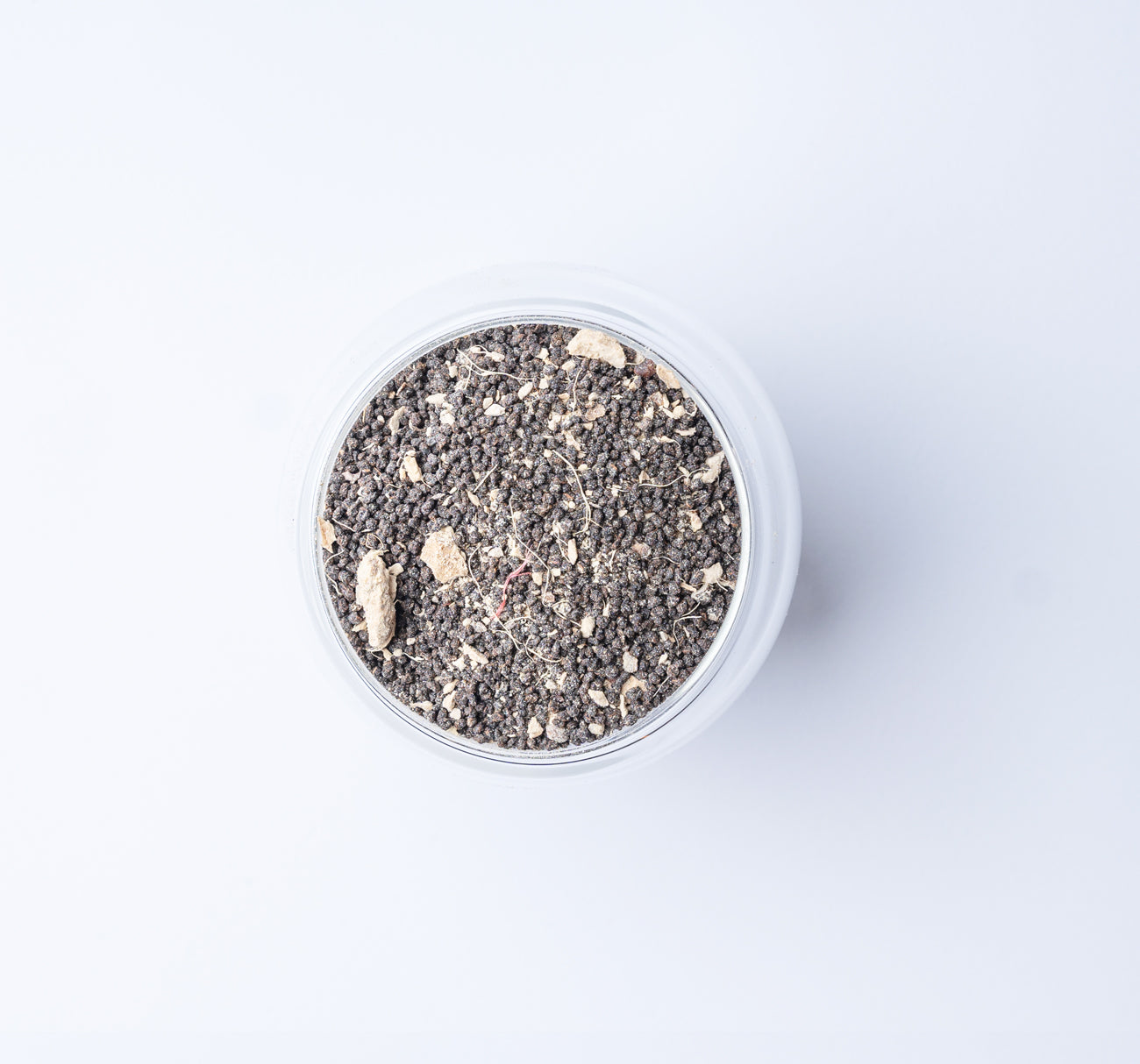 Best Quality Karak Black Tea Dubai