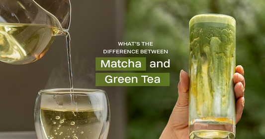 Matcha vs Green Tea Key Differences, Benefits, and Uses
