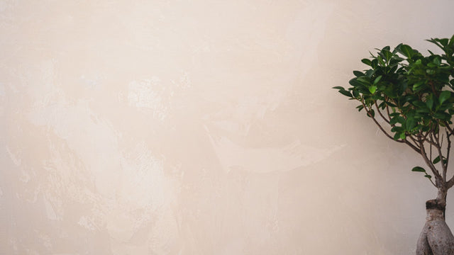 hongo_plant